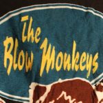 On Sale!! Blow Monke